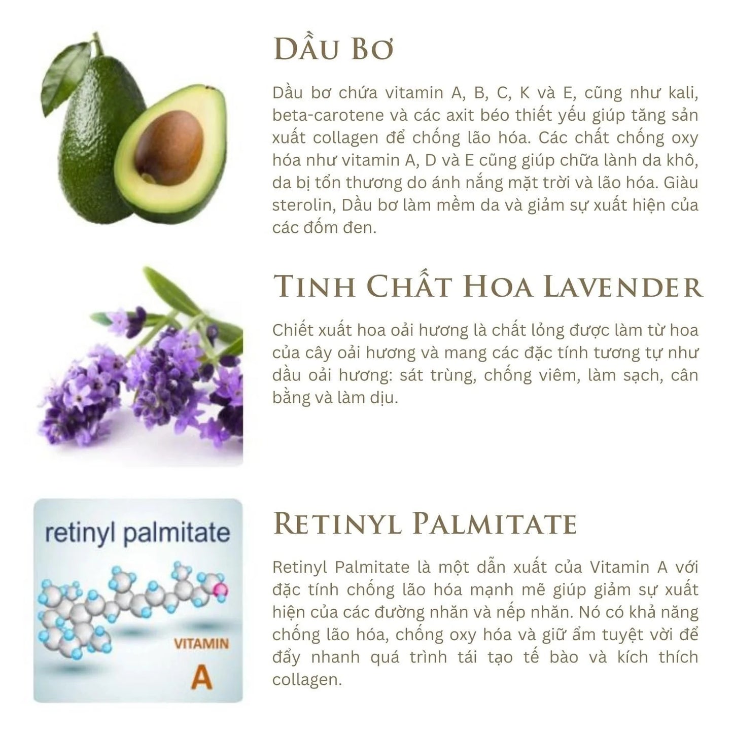 Kem Dưỡng Phục Hồi Ban Đêm - Origani Erda Soothing & Reviving Night Cream